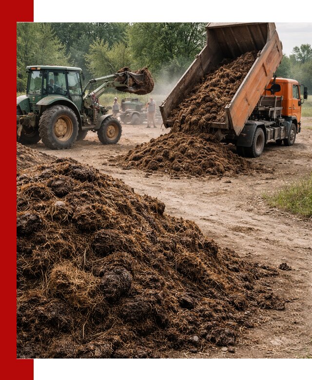 Доставка навоза самосвалами в Новокубанске для сельхозпотребностей