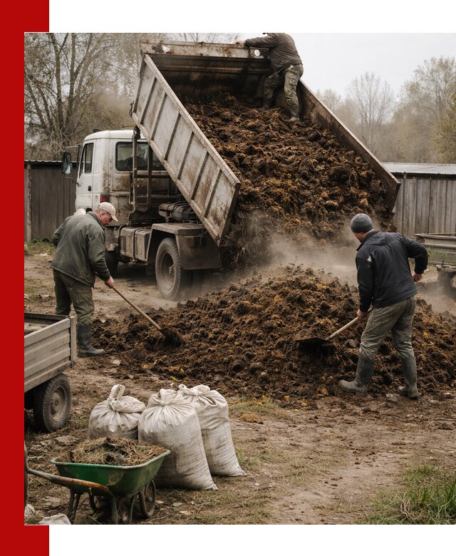 Доставка коровьего навоза самосвалом в Новокубанске